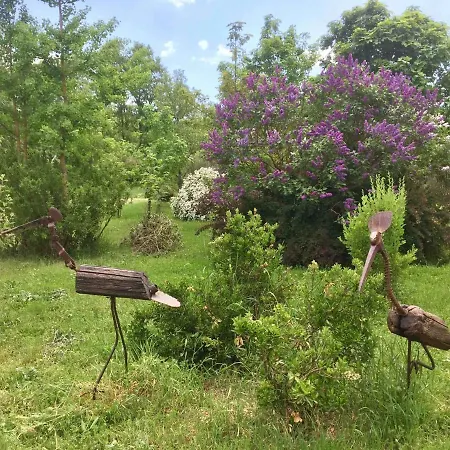 דירה La Casa Di Francesco Incantevole Casale Di Campagna With Pool Piscina סוריאנו נל צ'ימינו