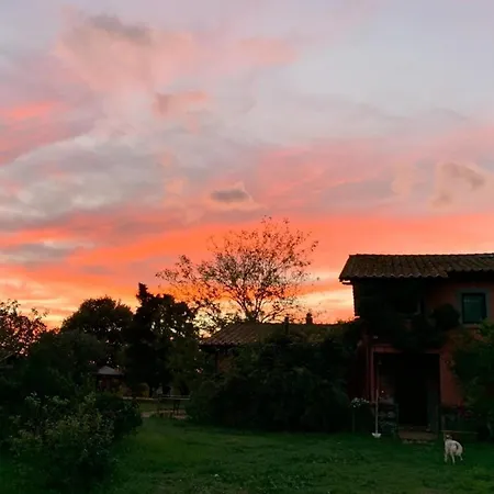 La Casa Di Francesco Soriano nel Cimino